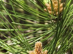 IMG 20260426 141434 - Copie